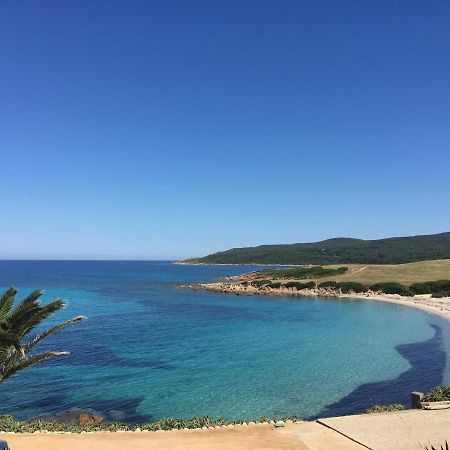 Ajaccio Magnifique T2 45M2 Neuf 5 Personnes Clim Wifi Stationnement Gratuit Centre Ville Plage A 300M المظهر الخارجي الصورة