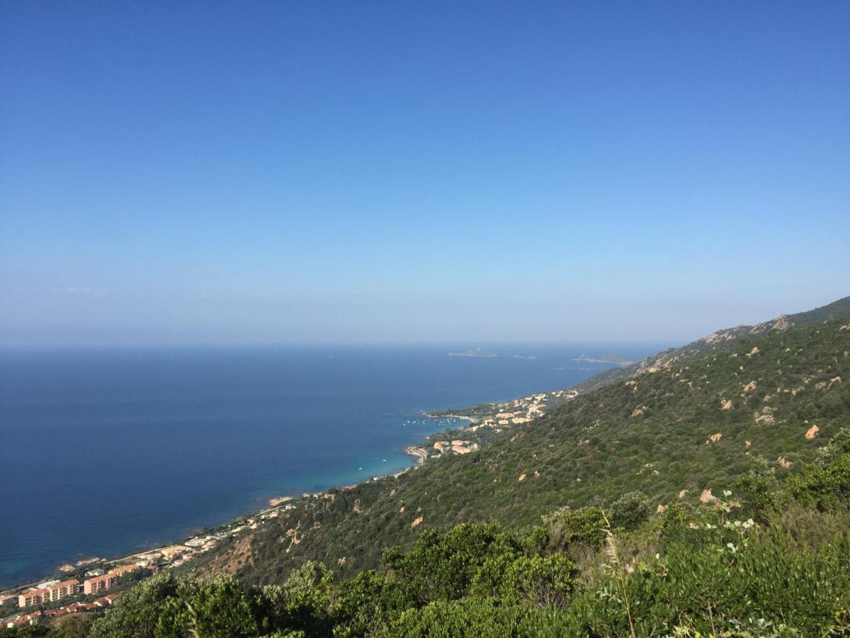 Ajaccio Magnifique T2 45M2 Neuf 5 Personnes Clim Wifi Stationnement Gratuit Centre Ville Plage A 300M المظهر الخارجي الصورة
